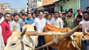 हजारीबाग विधायक प्रदीप प्रसाद ने हल-बैल से सड़क जोत कर जताया विरोध, प्रशासन की निष्क्रियता पर उठाए सवाल